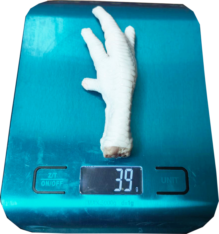 Thai Traders Nuse Brand Frozen Chicken Feet Export Quality | ณุส แบรนด์ ขาไก่แช่แข็ง มาตราฐานส่งออก