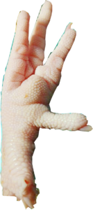 Thai Traders Nuse Brand Frozen Chicken Feet Export Quality | ณุส แบรนด์ ขาไก่แช่แข็ง มาตราฐานส่งออก