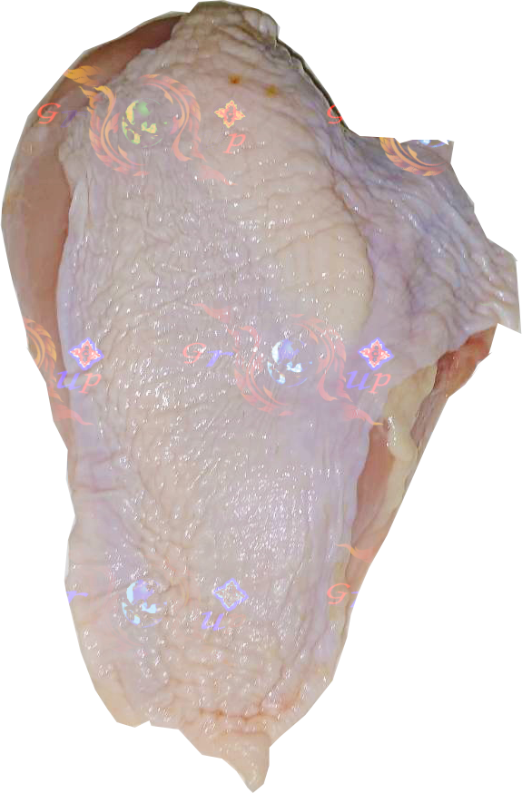 Thai Traders Nuse Brand Frozen Skin on Chicken Breast Export Quality | ณุส แบรนด์ อกไก่ติดหนังแช่แข็ง มาตราฐานส่งออก