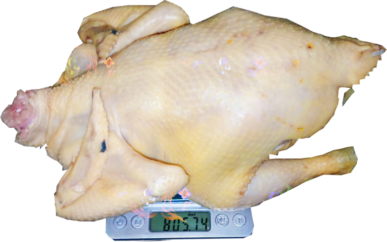 Thai Traders Nuse Brand Frozen Whole Chicken NY Griller Export Quality | ณุส แบรนด์ ไก่ล้วงแช่แข็ง มาตราฐานส่งออก