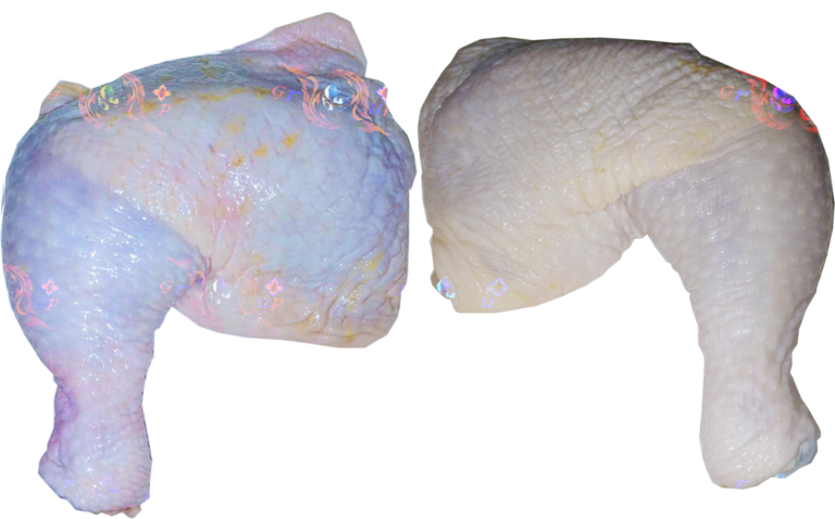 Nuse Brand | Export Quality | Chicken Leg Quarters | ณุส แบรนด์ น่องไก่ติดสะโพกแช่แข็ง มาตราฐานส่งออก