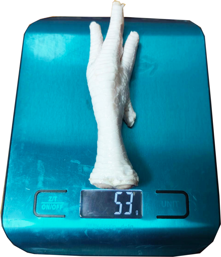 Thai Traders Nuse Brand Frozen Chicken Feet Export Quality | ณุส แบรนด์ ขาไก่แช่แข็ง มาตราฐานส่งออ