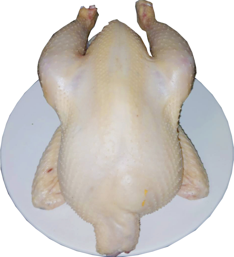 Thai Traders Nuse Brand Frozen Whole Chicken NY Griller Export Quality | ณุส แบรนด์ ไก่ล้วงแช่แข็ง มาตราฐานส่งออก