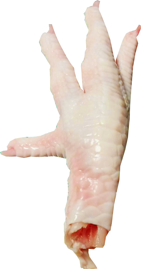 TTDs channel | Thai Traders | Ninu Brand | Frozen Chicken Feet | ทีทีดี แชนแนล | ไทย เทรดเดอร์ | ขาไก่ | แช่แข็ง | มาตรฐานการ | จัด หาสินค้าไทย | ด้วยความจริงใจ | ในทุกรายละเอีย ด